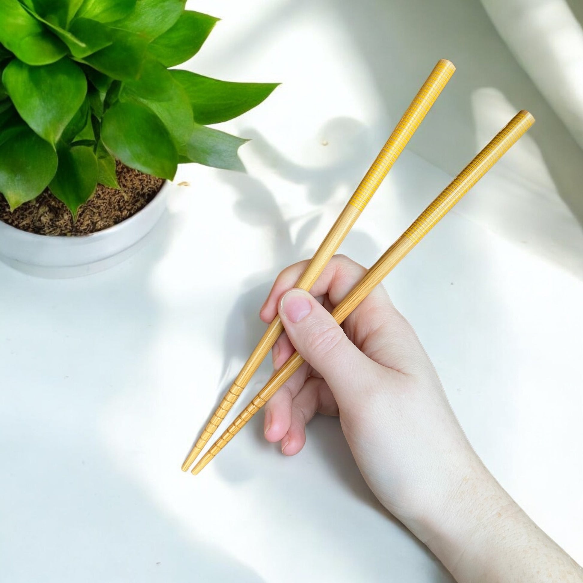 sustainable, zero waste, earth - friendly, plastic - free Bamboo Chopsticks | Set of 2 - Bamboo Switch