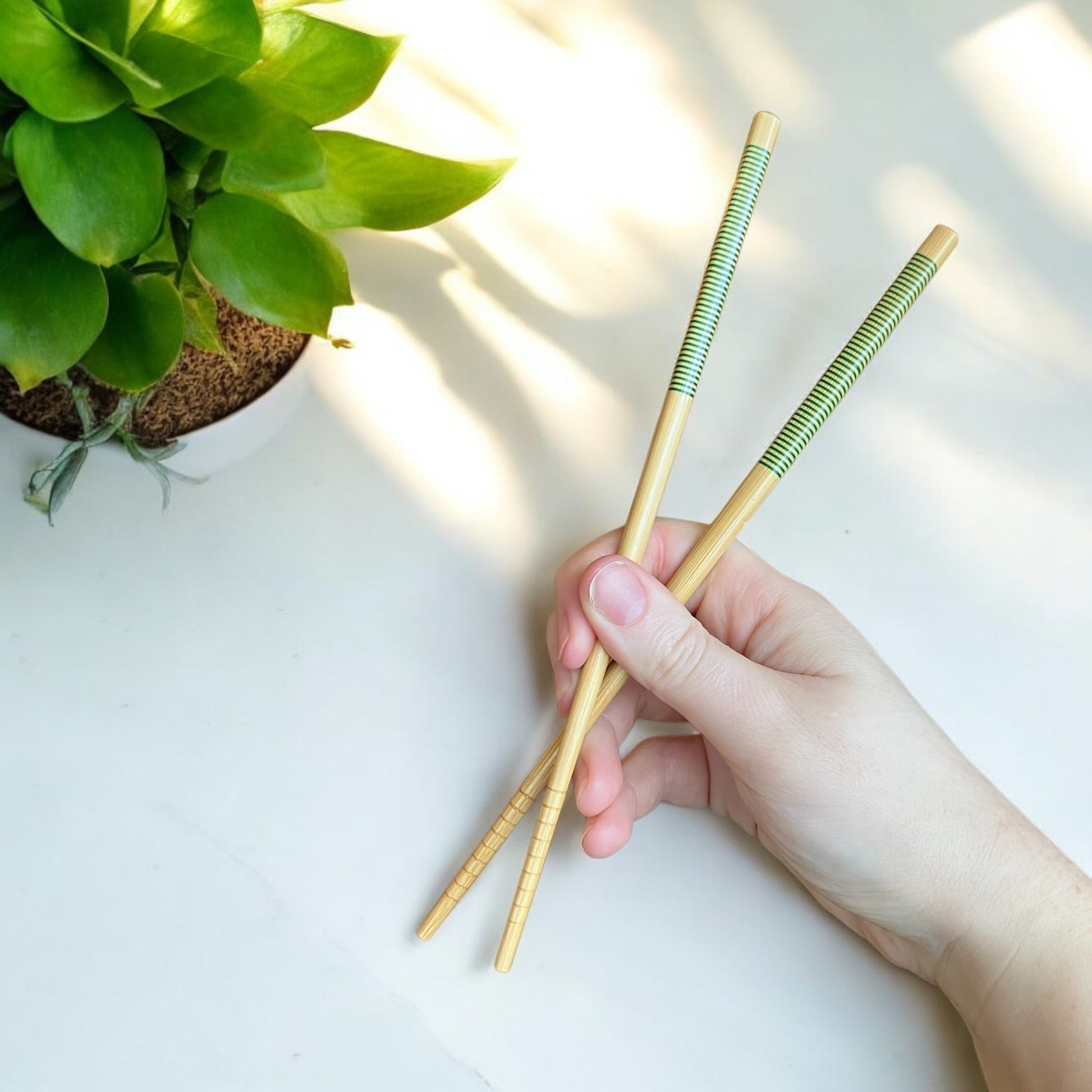 sustainable, zero waste, earth - friendly, plastic - free Bamboo Chopsticks | Set of 2 - Bamboo Switch