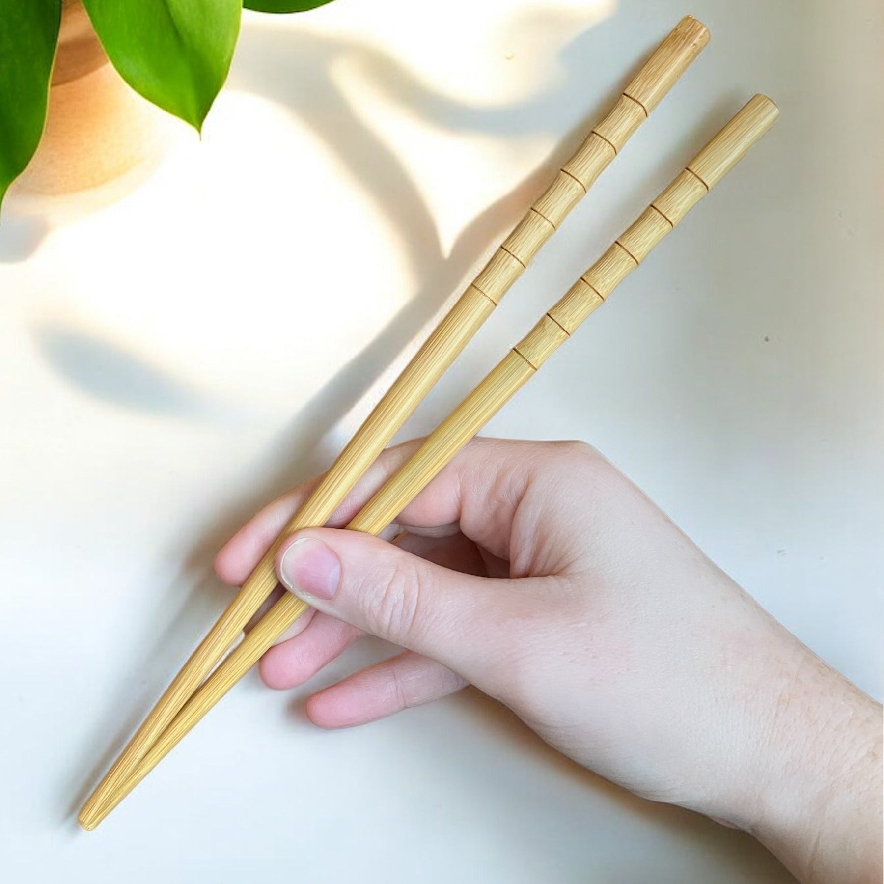 sustainable, zero waste, earth - friendly, plastic - free Bamboo Chopsticks | Set of 2 - Bamboo Switch