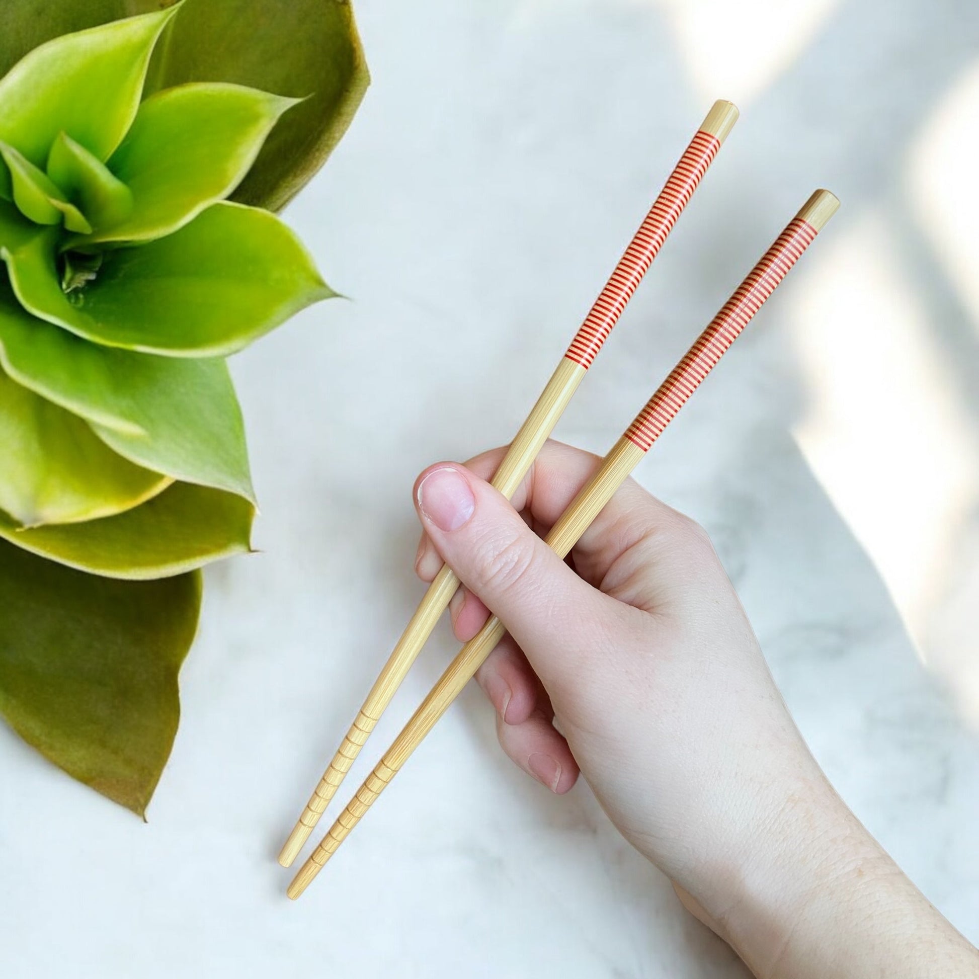 sustainable, zero waste, earth - friendly, plastic - free Bamboo Chopsticks | Set of 2 - Bamboo Switch