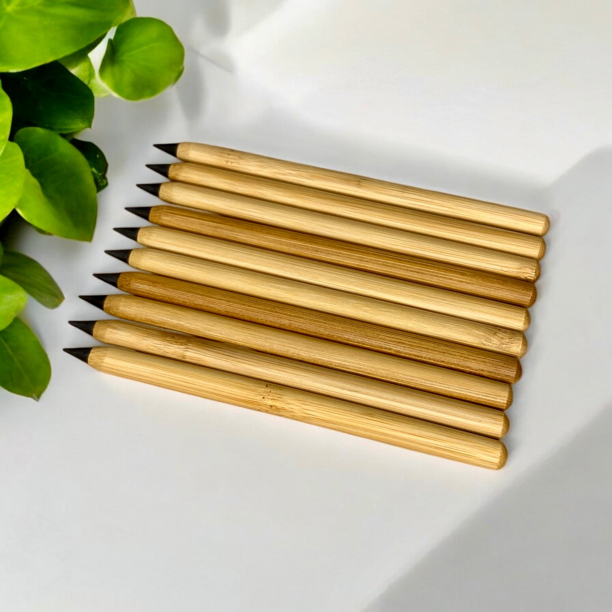 sustainable, zero waste, earth - friendly, plastic - free Bamboo Pencil | Never Ending - Bamboo Switch