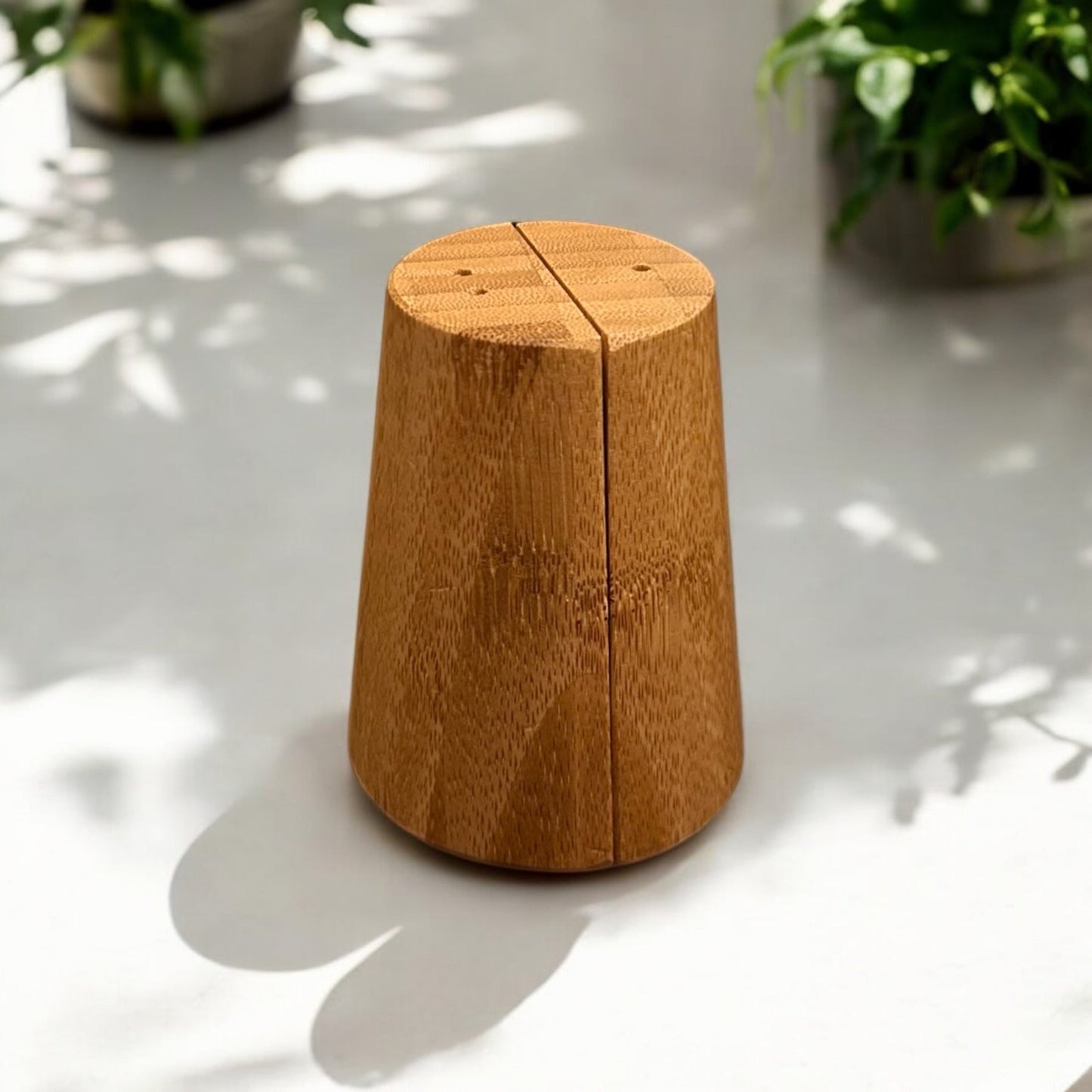 sustainable, zero waste, earth - friendly, plastic - free Bamboo Salt & Pepper Shaker - Bamboo Switch