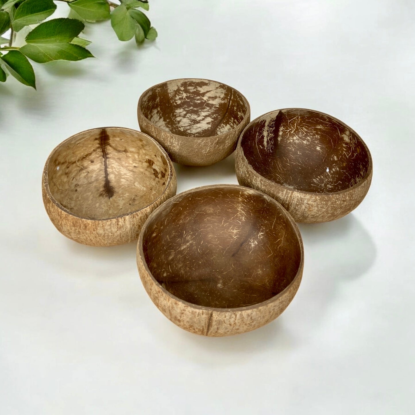 sustainable, zero waste, earth - friendly, plastic - free Coconut Bowl - Bamboo Switch