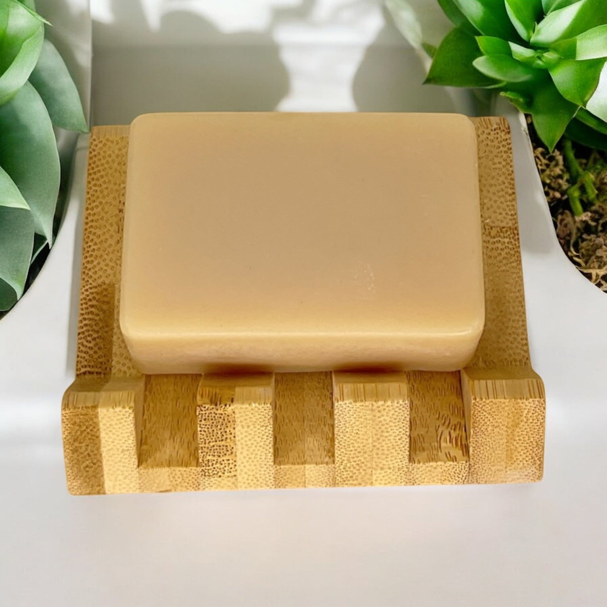 sustainable, zero waste, earth - friendly, plastic - free Cold Process Soap Bar | Coconut - Bamboo Switch