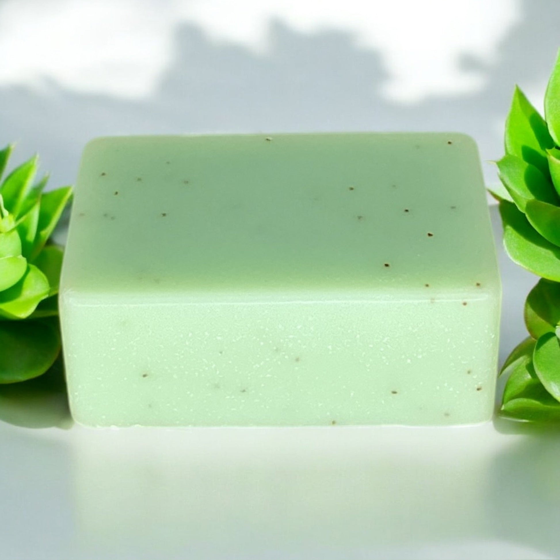 sustainable, zero waste, earth - friendly, plastic - free Cold Process Soap Bar | Tea Tree - Bamboo Switch