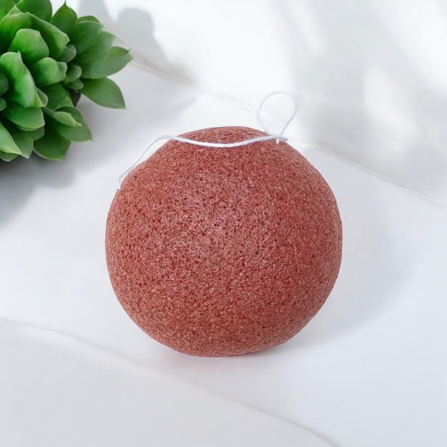 sustainable, zero waste, earth - friendly, plastic - free Natural Konjac Facial Sponge - Bamboo Switch