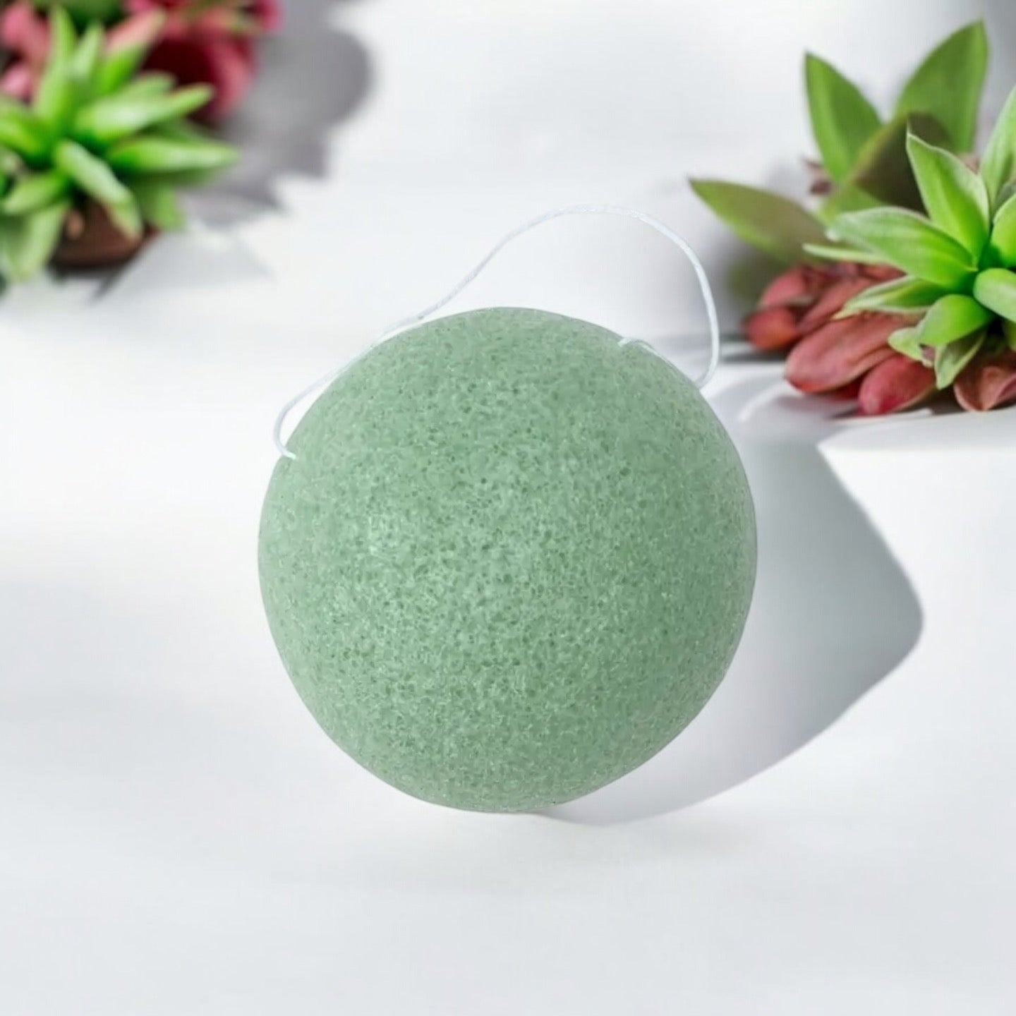 sustainable, zero waste, earth - friendly, plastic - free Natural Konjac Facial Sponge - Bamboo Switch