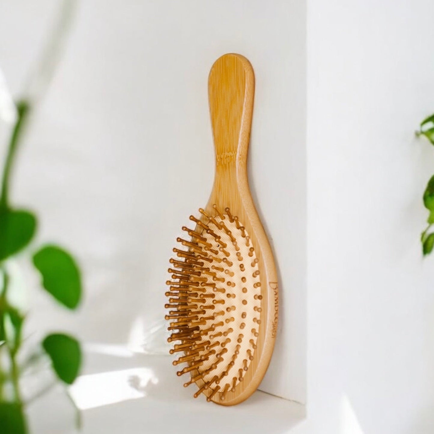 sustainable, zero waste, earth - friendly, plastic - free Rounded Paddle Hairbrush - Bamboo Switch