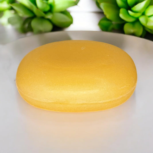 sustainable, zero waste, earth - friendly, plastic - free Shampoo Bar | Lime - Bamboo Switch