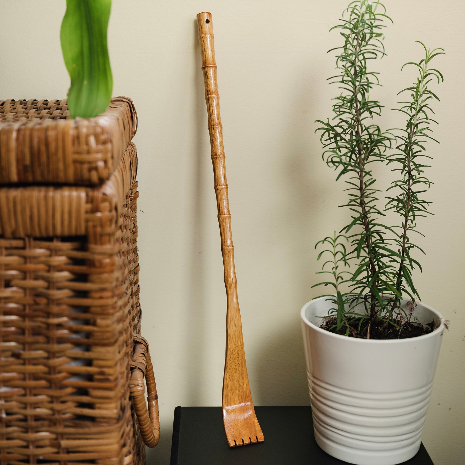 sustainable, zero waste, earth-friendly, plastic-free Backscratcher - Bamboo Switch